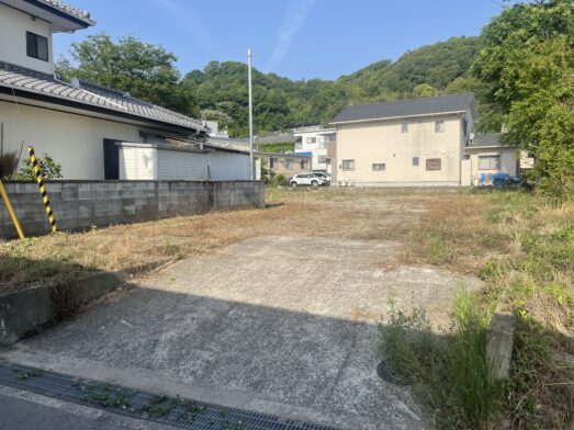 写真1