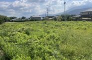 写真4