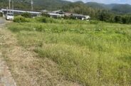 写真1